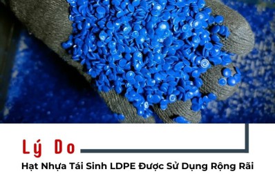 Lý do hạt nhựa tái sinh LDPE được sử dụng rộng rãi