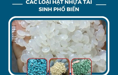 Hạt Nhựa Tái Sinh Là Gì? Các Loại Hạt Nhựa Tái Sinh Phổ Biến