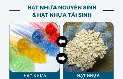 Phân biệt nhựa tái sinh, nhựa nguyên sinh phân biệt như nào? Ứng Dụng Trong Đời Sống