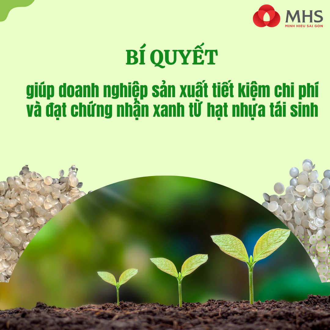 Bí quyết giúp doanh nghiệp sản xuất tiết kiệm chi phí và đạt chứng nhận xanh nhờ hạt nhựa tái sinh