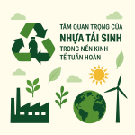 Tầm quan trọng của nhựa tái sinh trong nền kinh tế tuần hoàn