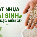 Hạt Nhựa HDPE Tái Sinh Có Đặc Điểm Gì? Vì Sao Được Nhiều Doanh Nghiệp Lựa Chọn?