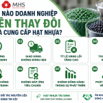 Khi nào doanh nghiệp nên thay đổi nhà cung cấp hạt nhựa?