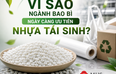 Vì Sao Ngành Bao Bì Ngày Càng Ưu Tiên Nhựa Tái Sinh?