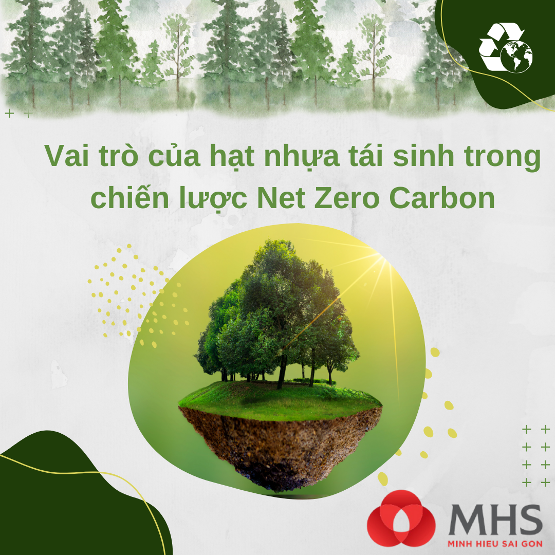 Vai trò của hạt nhựa tái sinh trong chiến lược Net Zero Carbon