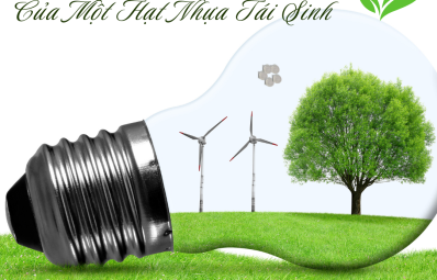 ♻️ Hành Trình Thầm Lặng Của Một Hạt Nhựa Tái Sinh - Góc nhìn mới về công việc bền bỉ của MHS