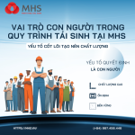 Vai trò con người trong quy trình tái sinh