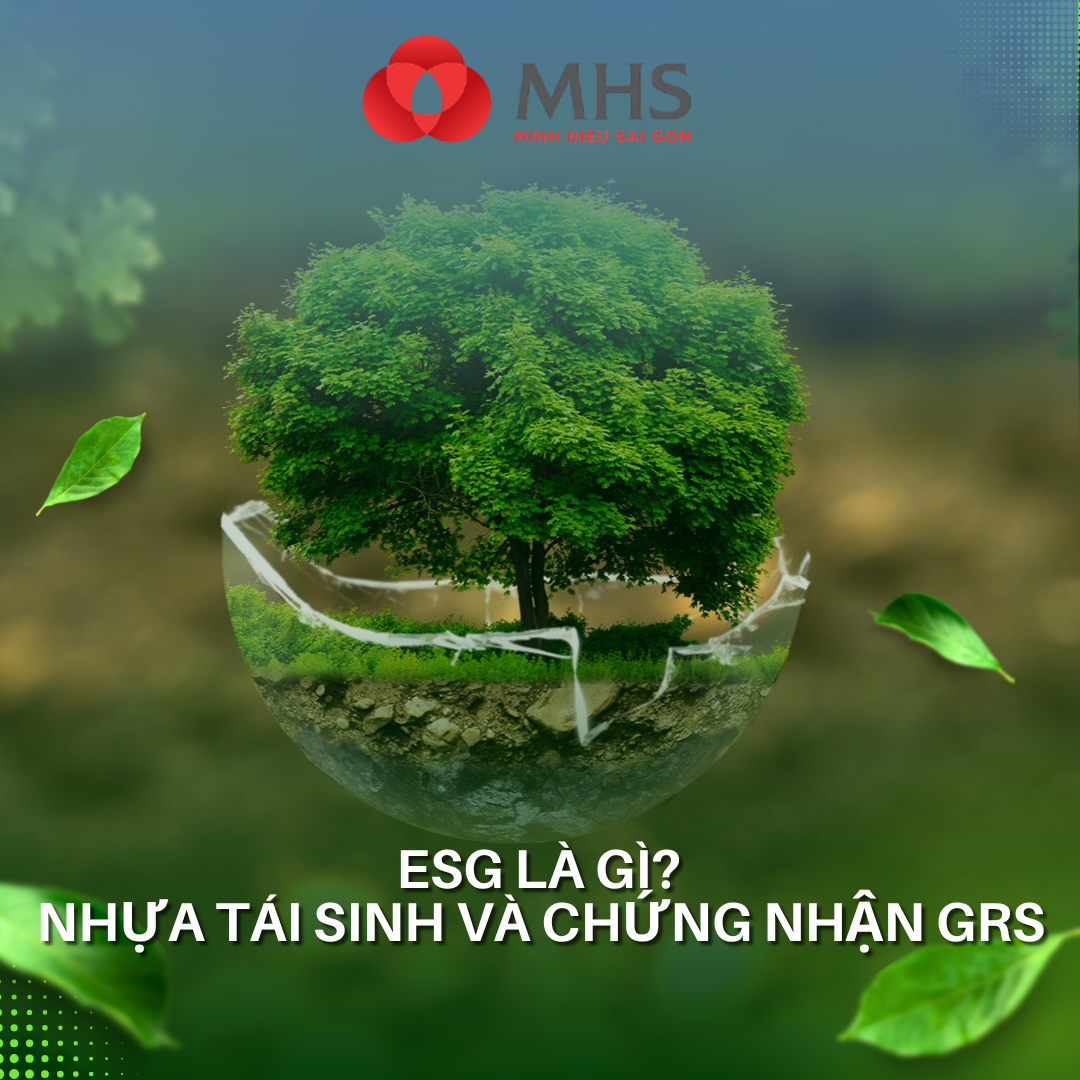 ESG là gì? Nhựa tái sinh và chứng nhận GRS giúp doanh nghiệp đáp ứng tiêu chuẩn toàn cầu