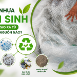 Hạt nhựa tái sinh được tạo ra từ những nguồn nào?