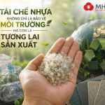Tái Chế Nhựa Không Chỉ Là Bảo Vệ Môi Trường, Mà Còn Là Tương Lai Sản Xuất