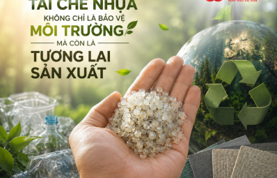 Tái Chế Nhựa Không Chỉ Là Bảo Vệ Môi Trường, Mà Còn Là Tương Lai Sản Xuất