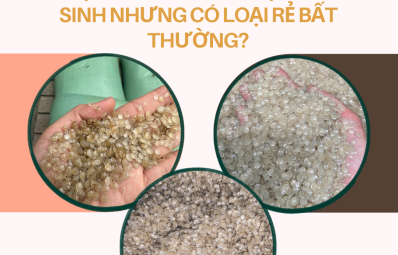 Tại sao cùng là nhựa tái sinh nhưng có loại rẻ bất thường?