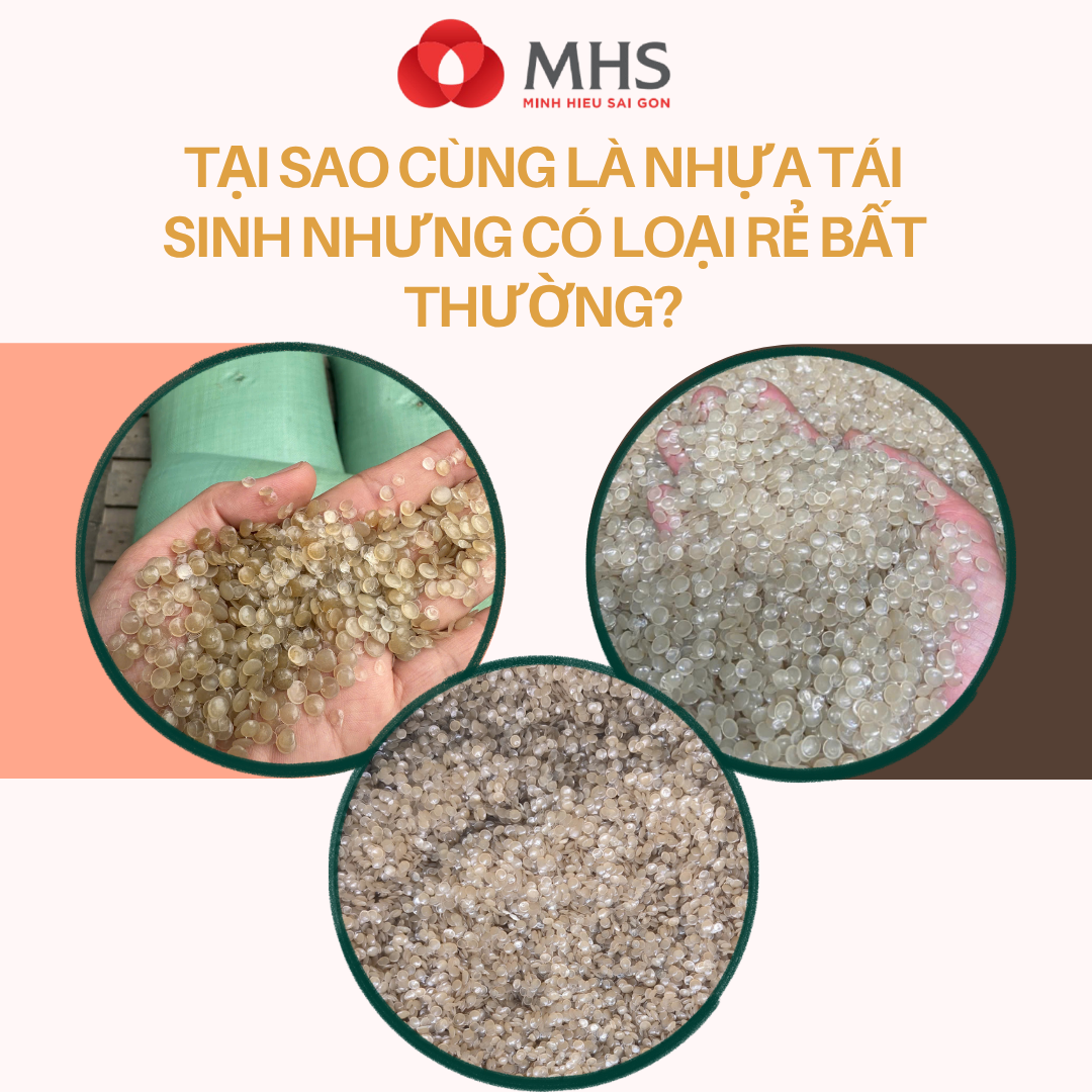 Tại sao cùng là nhựa tái sinh nhưng có loại rẻ bất thường?