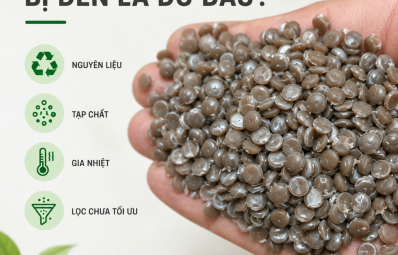 ♻️ HẠT NHỰA TÁI SINH BỊ ĐEN LÀ DO ĐÂU?