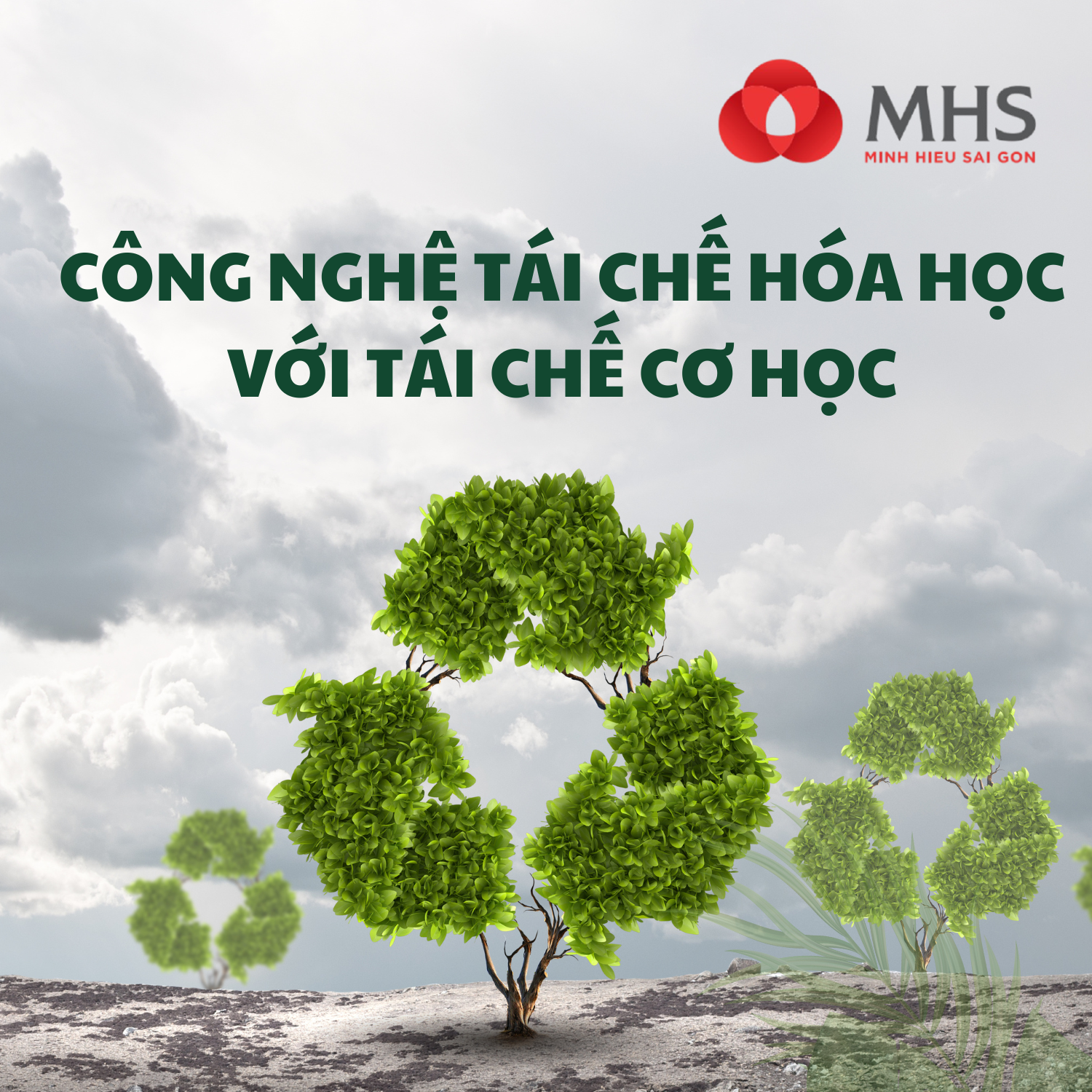 ♻️ Công Nghệ Tái Chế Hóa Học vs Tái Chế Cơ Học: Đâu Là Hướng Đi Bền Vững?