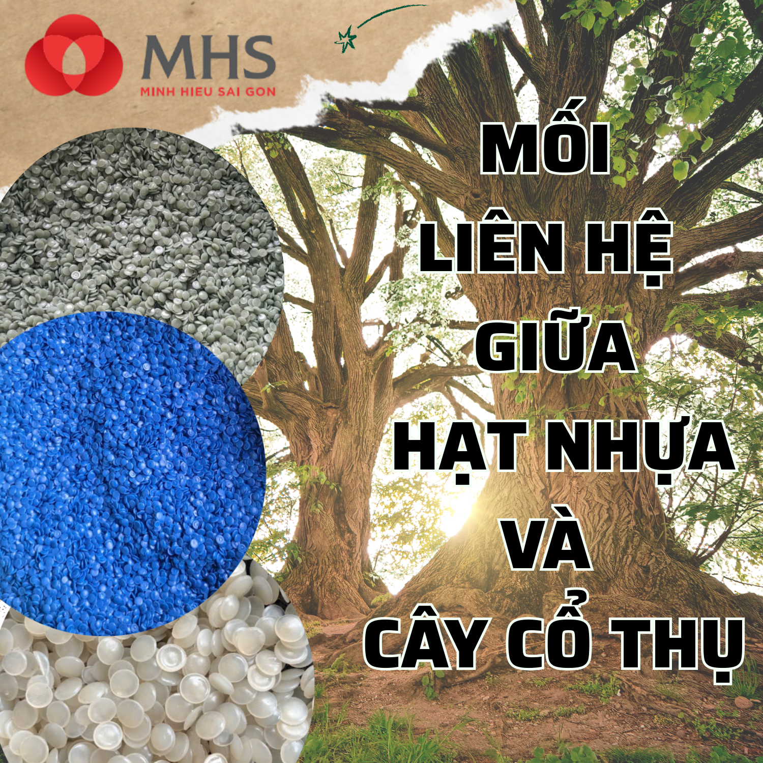 Một hạt nhựa có thể cứu cả một cây cổ thụ?