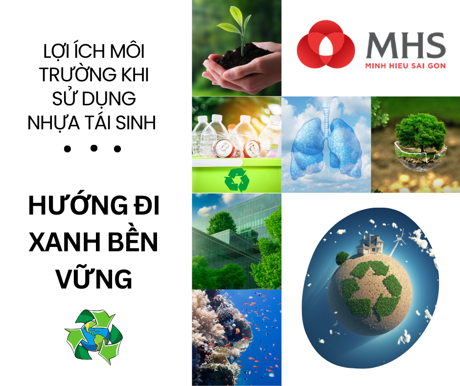 ✅ Lợi Ích Môi Trường Khi Sử Dụng Nhựa Tái Sinh – Hướng Đi Xanh Bền Vững