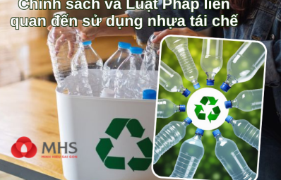 Chính Sách và Luật Pháp Liên Quan Đến Sử Dụng Nhựa Tái Chế – Doanh Nghiệp Cần Biết