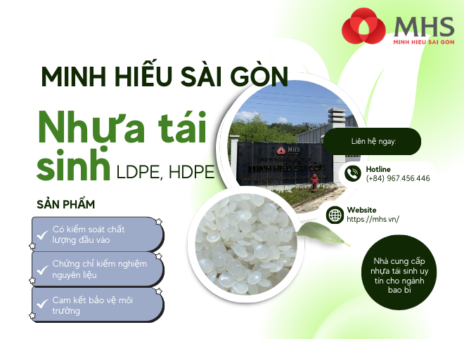 Nhựa tái sinh trong ngành bao bì, đóng gói: Giải pháp xanh cho tương lai