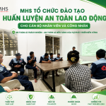 MHS TỔ CHỨC ĐÀO TẠO HUẤN LUYỆN AN TOÀN LAO ĐỘNG CHO CÁN BỘ NHÂN VIÊN VÀ CÔNG NHÂN